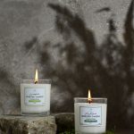 Lemongrass Scented Candle - 170 g - Image 2