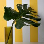 Yellow Stripes eco wallpaper