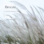 Car Diffuser - Breeze - Image 2