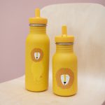 Stainless Steel Bottle 500 ml - Mr Lion - Image 4