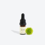 TEA TREE Essential Oil - Image 3