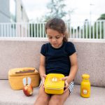 Small Lunch Box - Mr. Lion