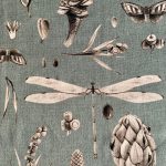 Pillowcase - Seeds Aqua - Image 2